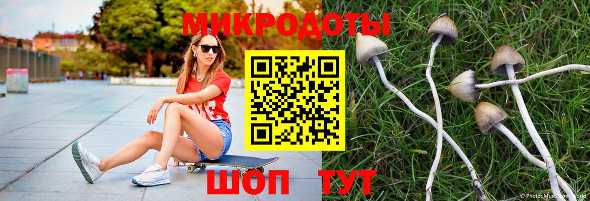 Псилоцибиновые грибы Psilocybe Магнитогорск